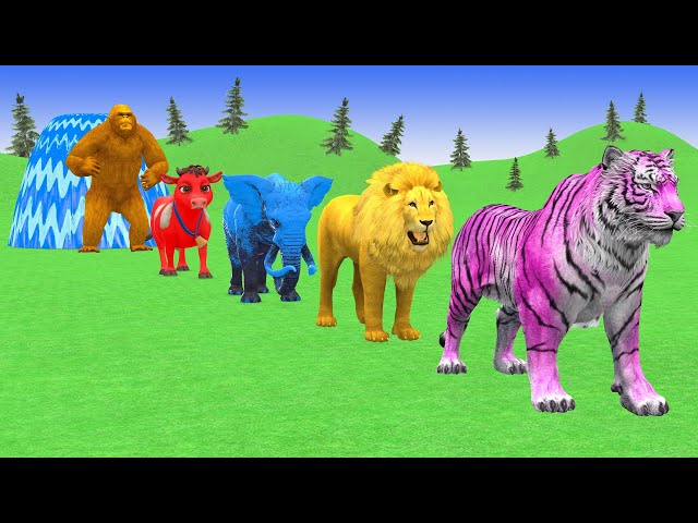 Long Slide Game With Elephant Gorilla Buffalo Hippopotamus Tiger 3d Animal Game Funny 3d Animals