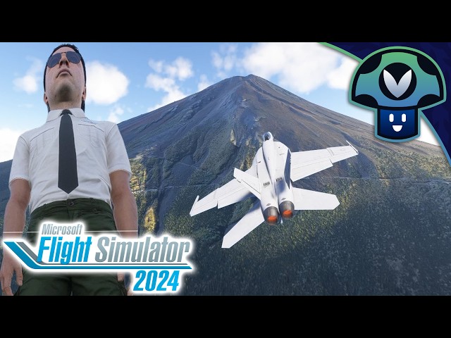 Vinny - Microsoft Flight Simulator 2024