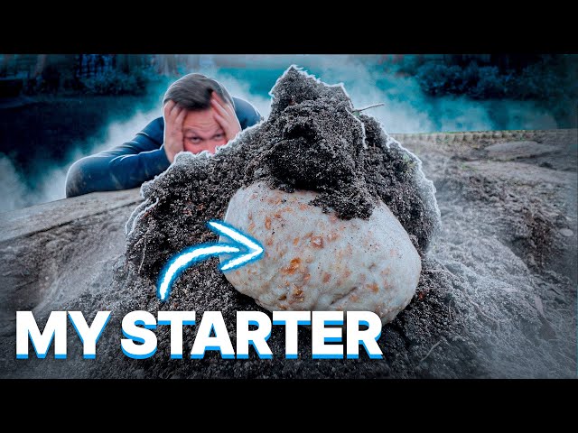Can Your Sourdough Starter Survive being Buried?