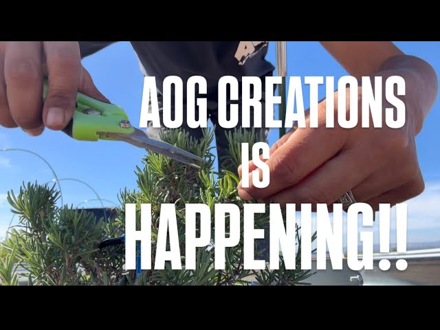 AOG CREATIONS- a vision come true