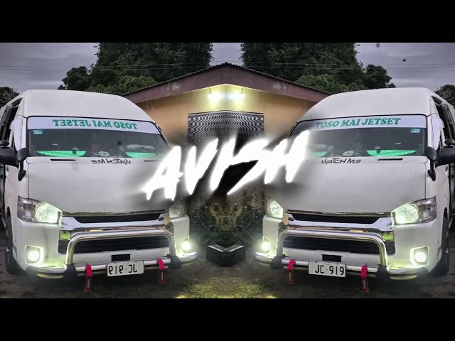 Baaghi 4 - Guzaara (Reggae Remix) | AVISH679