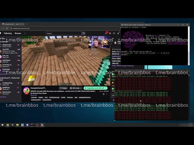 BRAIN NET C2 VS MINECRAFT OVH SERVER | DDOS BEST C2/BOTNET/API 2026 | L4 & L7 | BEST BYPASS