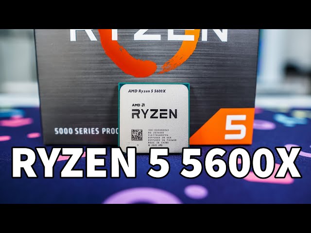 AMD Ryzen 5 5600X Processor Review