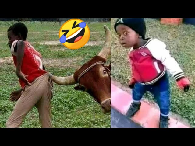 41 Minutes Nonstop Laughter || Best Funny Videos Of The Year || Try Not To Laugh