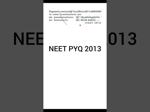 Cyanobacteria Pigment Extension? | NEET 2013 PYQ | Chromatophores Trick | #shorts #neet #neet2027