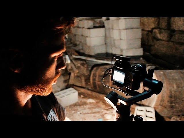 Exploring with Bros Of Decay | Short Film