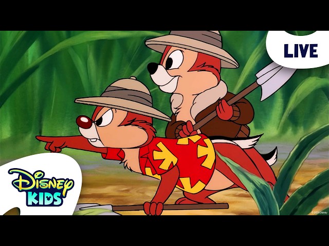 🔴 LIVE! Chip 'n Dale's Rescue Rangers 🐿️✨| Full Episodes | @disneykids