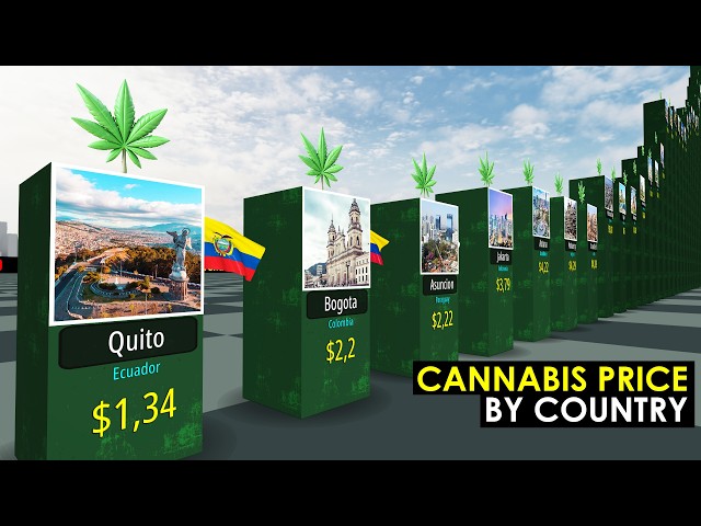 Cannabis Price by Country 2026