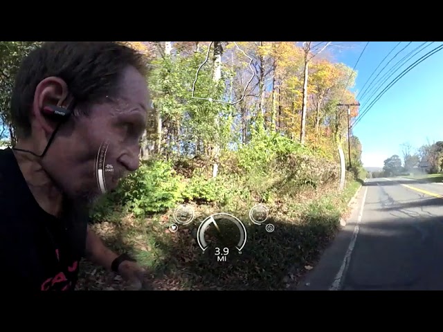 Larry's 5 Mile Run on October 19th 2017