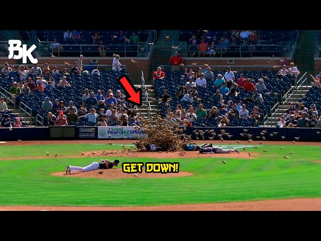 MLB - Crazy Animal Attacks on the Field