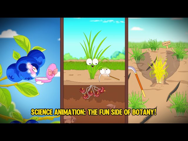 Vegetables and Fruits: Using Cartoons to Explain Complex Concepts in a Simple and Fun Way