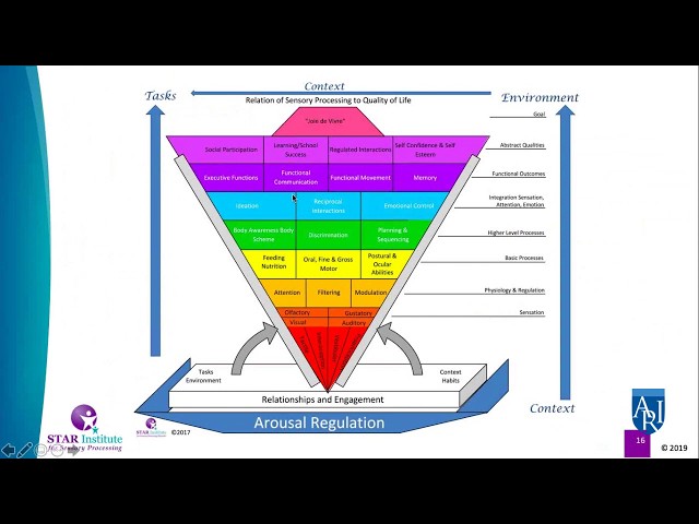 Sensory Processing and Autism
