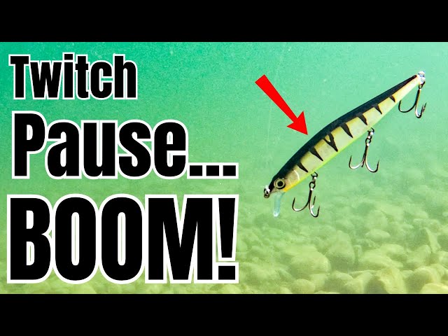 The ONLY Jerkbait Video You Will Ever Need!