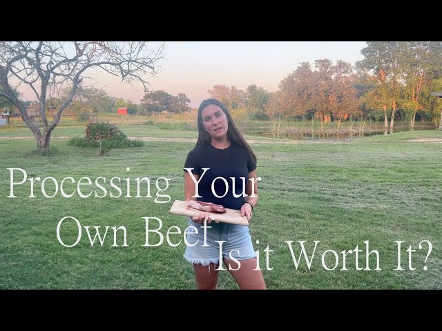 Processing your own Beef- Is it worth it ?!?!