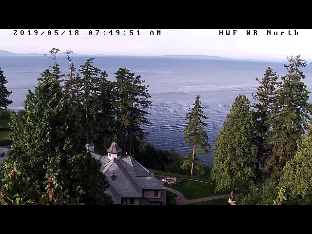 Hancock Wildlife Foundation Live Stream