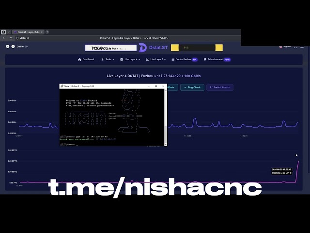 Nisha C2 Showcase CRASHING 100 GBPS DSTAT BEST C2 | BEST L4  | BOTNET 2026 | BEST C2