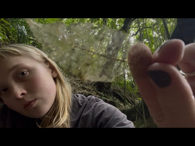 ASMR visuals by the stream