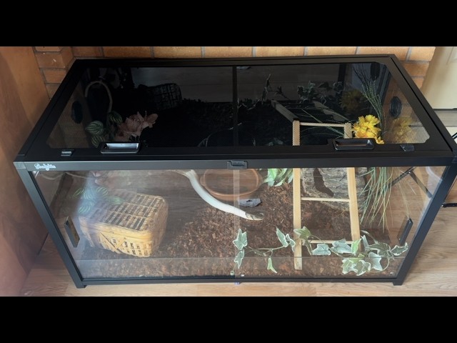 See FULL build, set up and features!