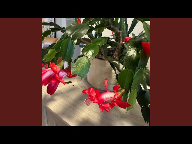 May the Music Never End