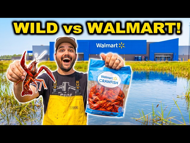 WALMART vs WILD CRAWFISH Trapping CHALLENGE!!! (Catch Clean Cook)