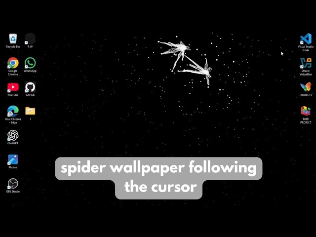 Cursor-Following spider 🕷 Wallpaper | Interactive HTML, CSS & JavaScript Animation