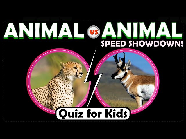 Animal Speed Showdown! Who’s the Fastest Creature? | Animal vs. Animal Speed Edition