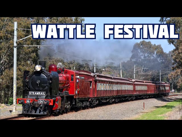 All Red Vintage Steam & Electric Train to Hurstbridge! Steamrail Wattle Festival Shuttles 2026 |