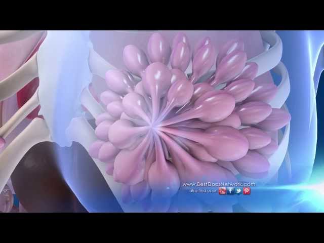 Self Breast Exam: Medical Minute with Family Physician Dr. Richard Honaker