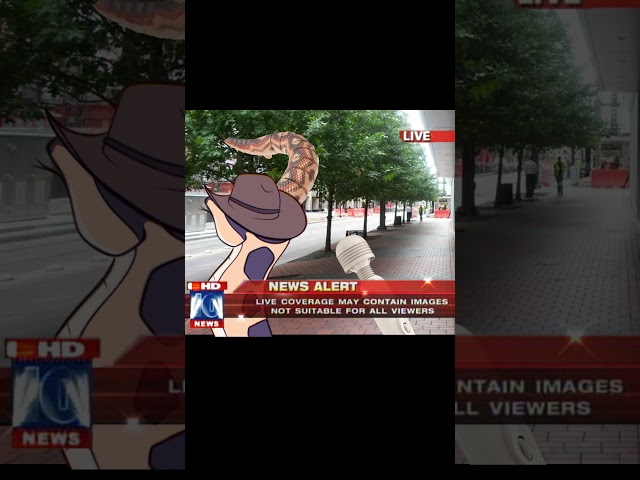 Local python interviewed in the streets. #vtuber
