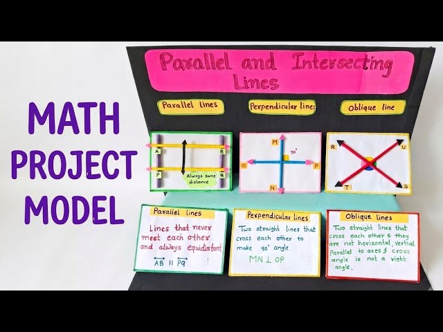Types of  lines math project model for class 5,6/ math working model #mathtlm #mathprojectmodel 