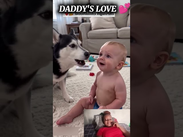 CUTE BABIES AND DOG MOMENT 😻❤️😘 #baby #love #cute #presleyreacts #dog #adorable