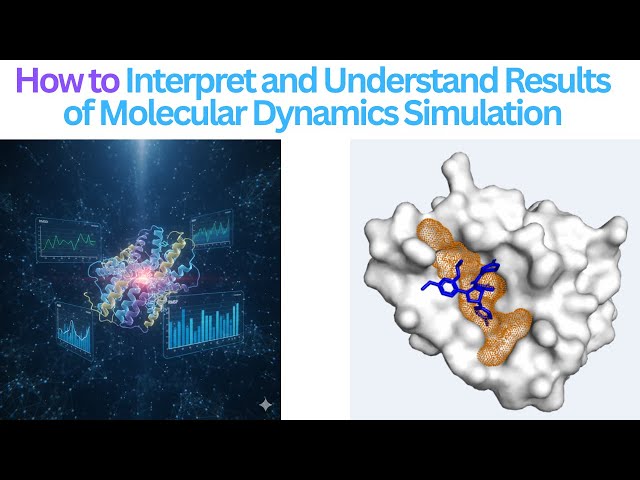 How to Understand and Interpret Molecular Dynamics Results?