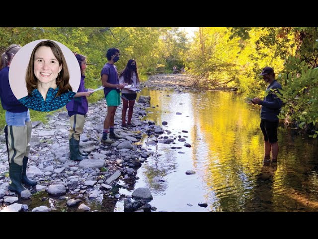 What are Students Learning and Experiencing in Field Courses?