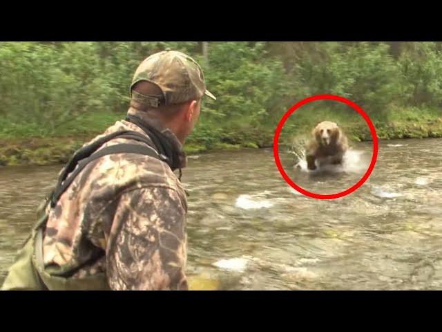 8 Bear Encounters You Really Shouldn't Watch
