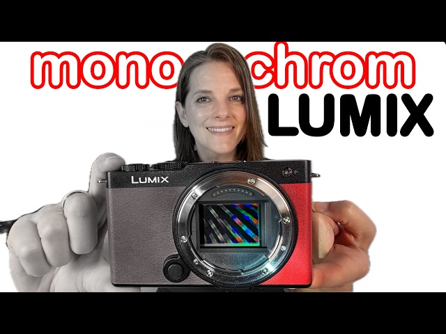 Lumix MONOCHROM S9 humilla a LEICA