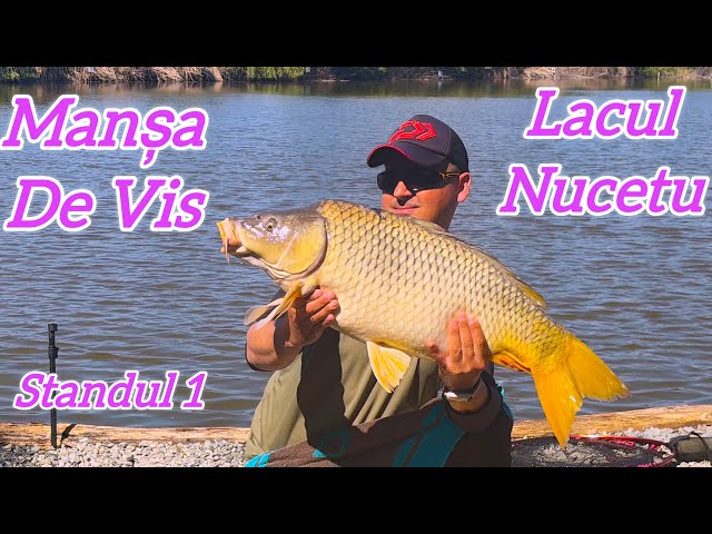 Pescuit La Feeder Pe Lacul Nucetu #fishing #tutorial #carpfishing