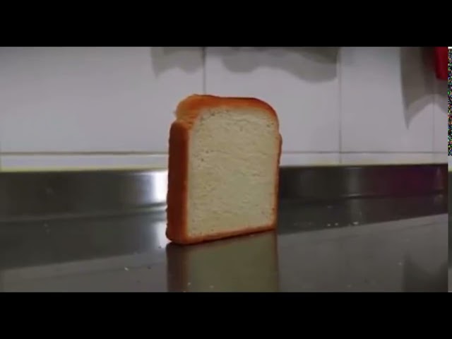 Day 1 of posting bread falling until i can buy a laptop  #Day1 #DailyPost #Meme #Memes #Shitpost
