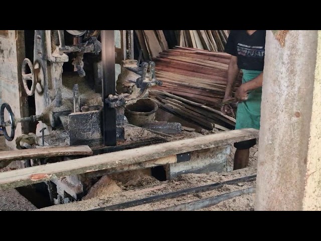 Massive Timber Processing: High-Tech Sawmill Canggih Revealed