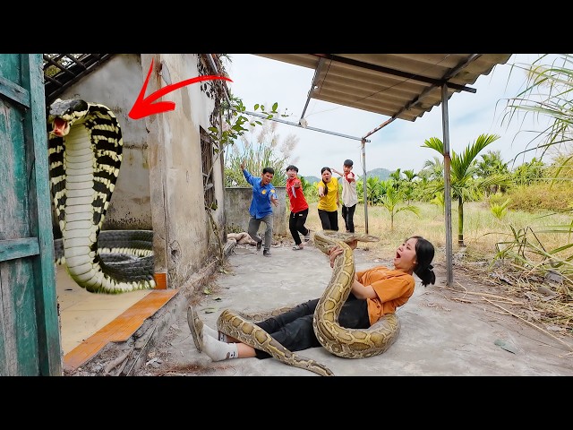 Most Dangerous Anaconda Attack Girl In Forest | Giant Snake Attack On Village | Anaconda