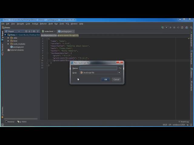 Grunt JS Tutorial for Beginners   3   Installing Plugins