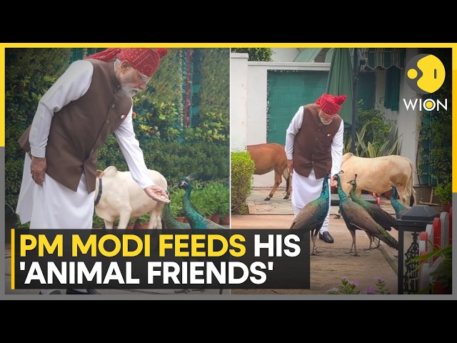 PM Modi Shares Heart-Warming Video From His Residence Ahead of Independence Day Speech | WION News