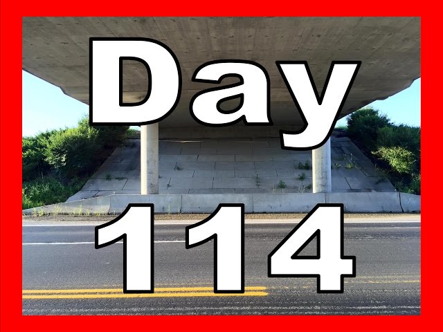 Robert Wimer | Day 114 | We Wish You a Merry Christmas