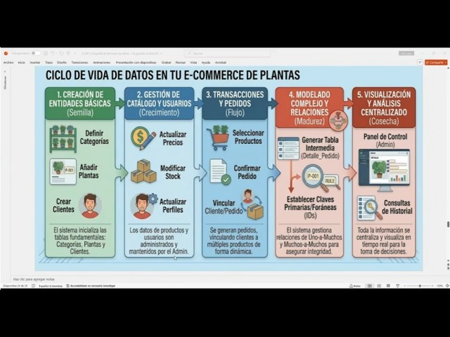 11 AP7 Bases de datos