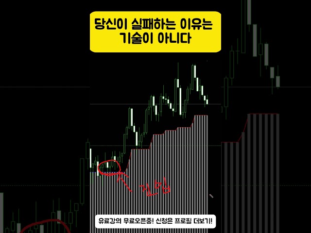 당신이 실패하는 이유는 기술이 아니다