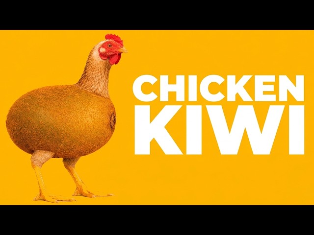 CHICKEN KIWI