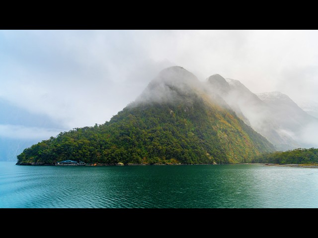 高纬度地區的奇特地貌 米爾福德峡灣 | New Zealand 4K HDR