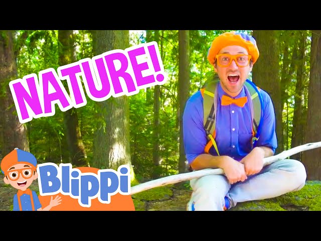 Learn and Play in the Forest and Beach With Blippi! | Outdoor Nature | Educational Videos For Kids