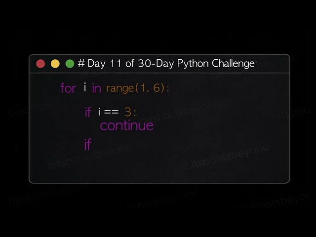 Python 30 Day Challenge Day 11 Reel