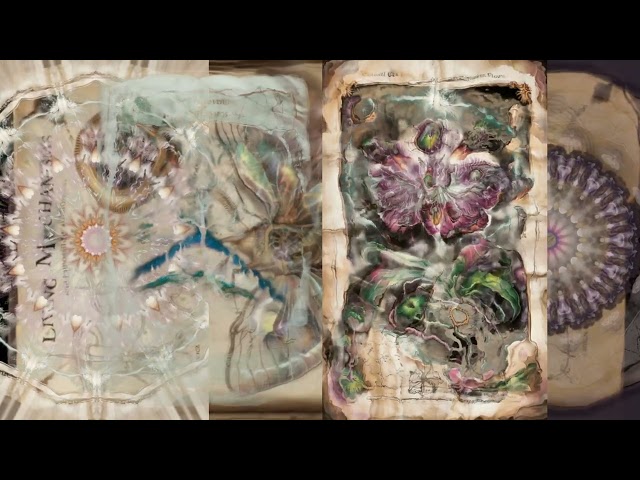 Codex Universalis [Ships:/ Our House Now!]