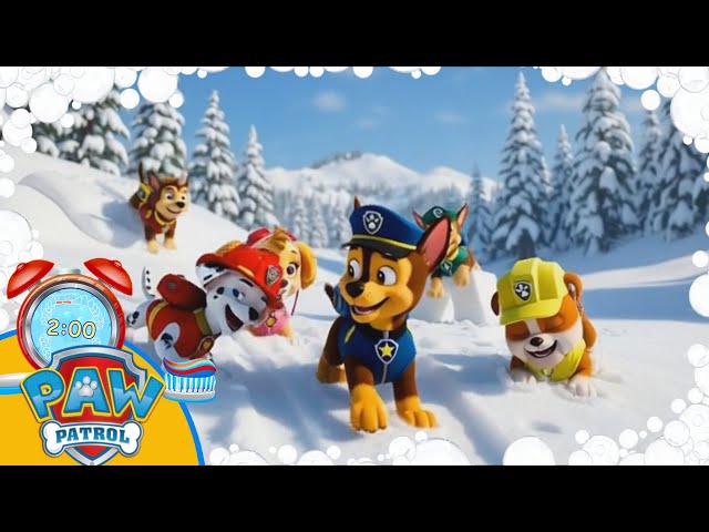 Paw Patrol Winter fun 2 Minute Toothbrush timer with Music